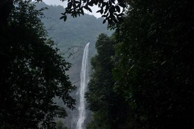 Trekking Experience to Beautiful Belligundi (Kudumari) Waterfalls Through Dense Forest