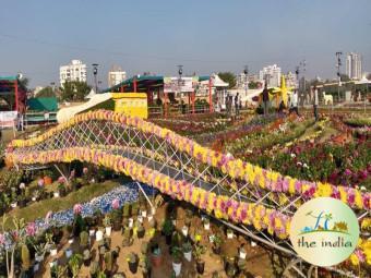 Flower Show Ahmedabad 2024