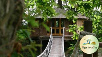Book Tree House in Kerala at Cheapest Price to Connect with Nature