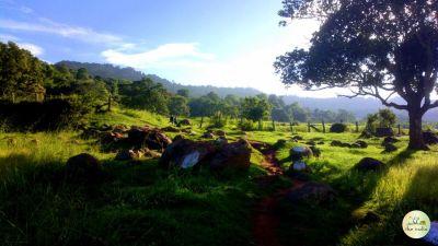 Yelagiri Hills