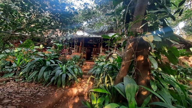 11 Best Farm Stay & Eco Village for Rent in Goa for Sustainable Stay