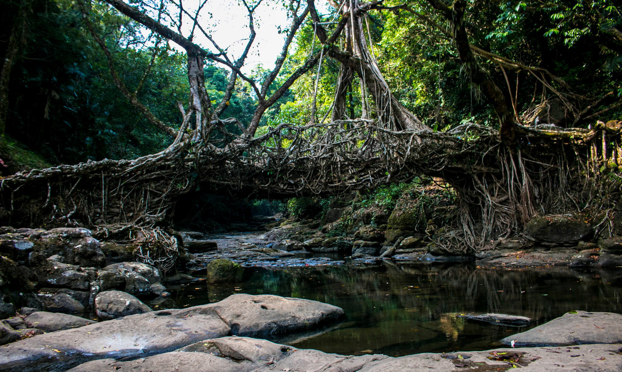 living route bridge