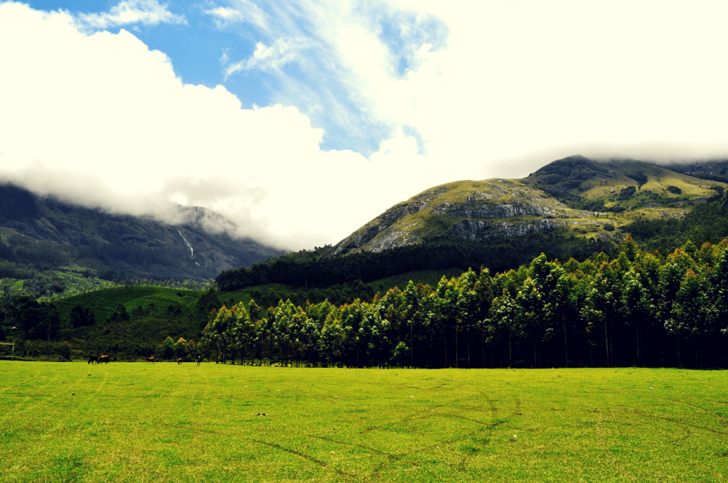 munnar-hill-station-kerala