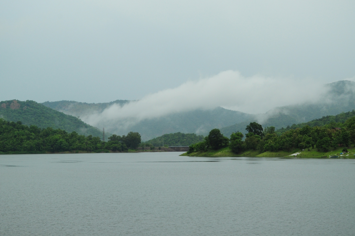 polo forest dam site