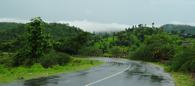 Polo forest Gujarat in Monsoon