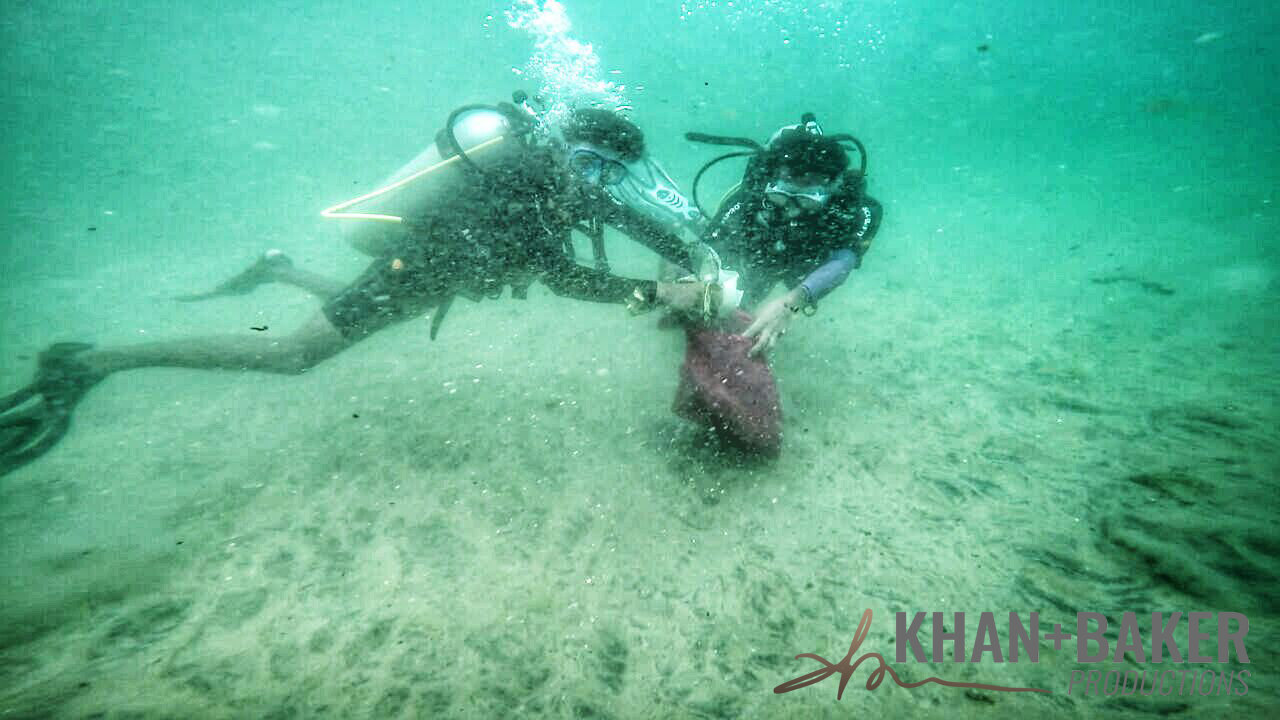 Divers collecting toxic wastes from the ocean bed