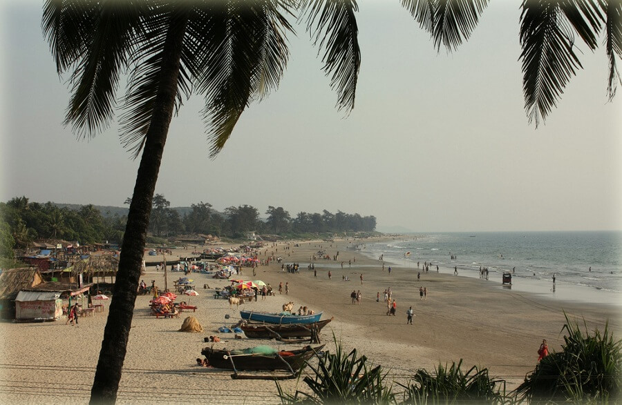 Arambol beach 