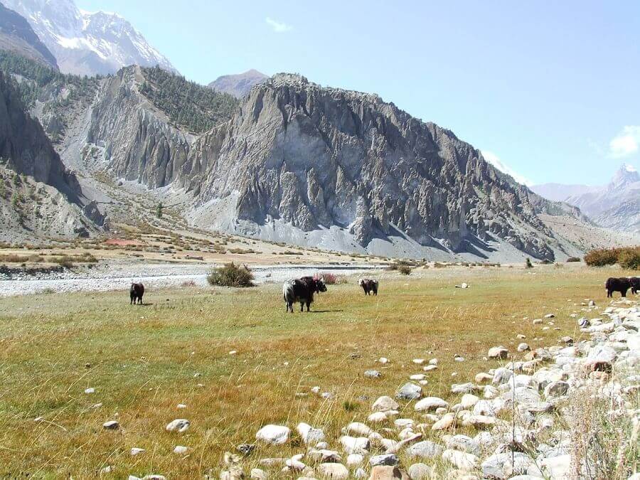 darjeeling_himalayan_mountaineering