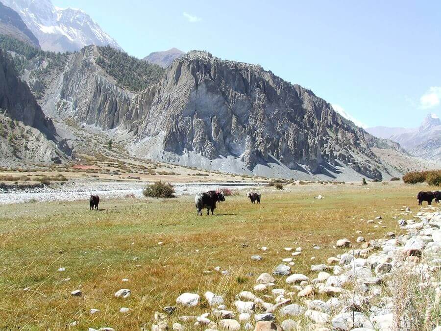 darjeeling_himalayan_mountaineering