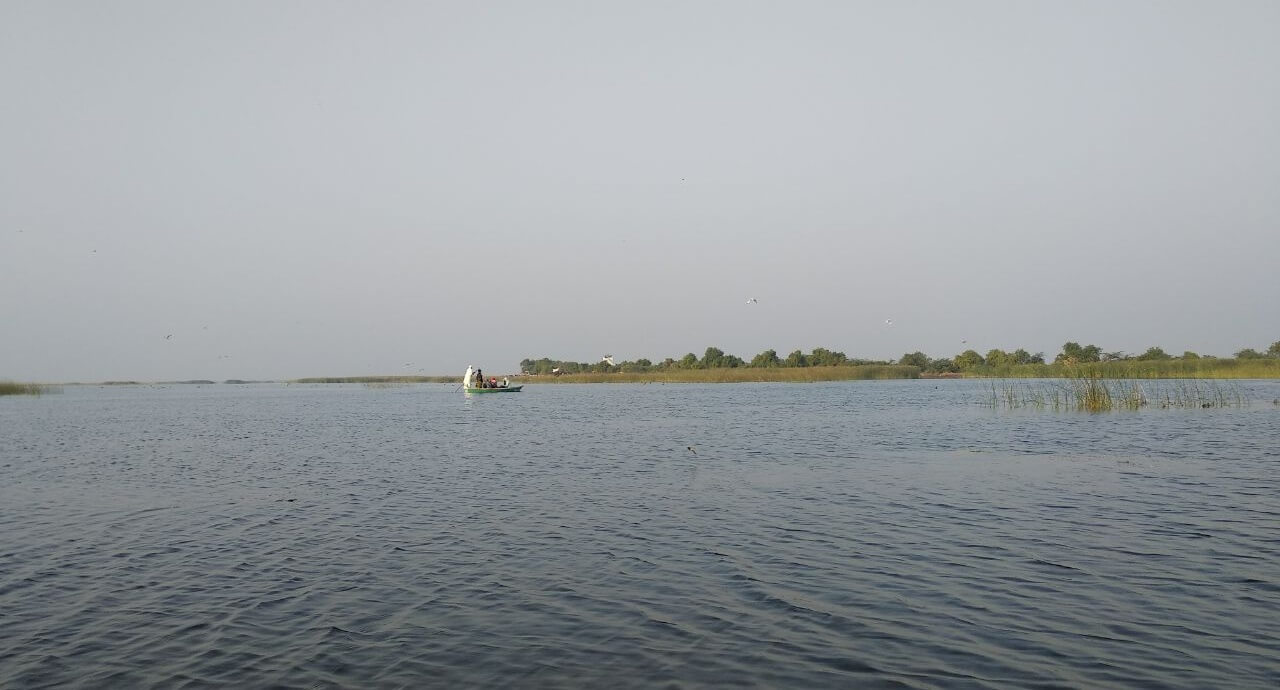 nal-sarovar-bird-sanctuary