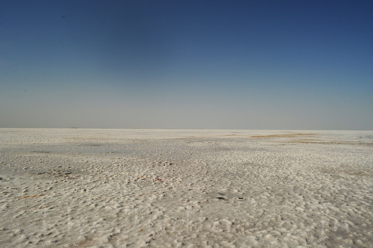 Rann of Kutch