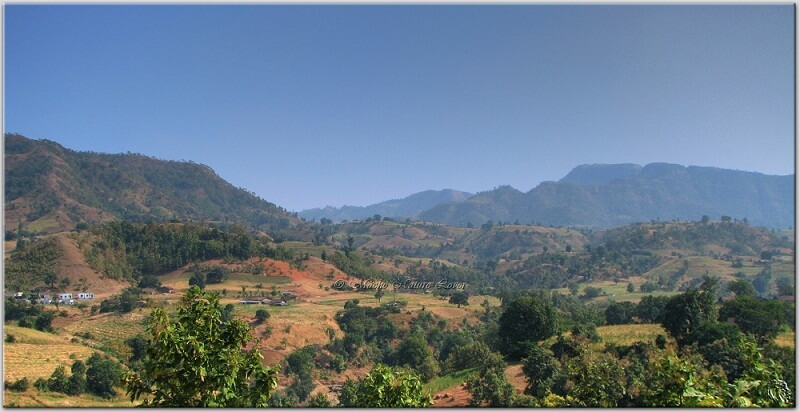 Shoolpaneshwar wild life Sanctuary