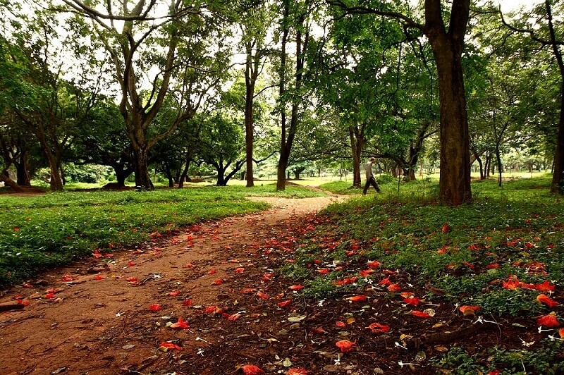 Cubbon Park - Among the Best Places to Visit Near Bangalore