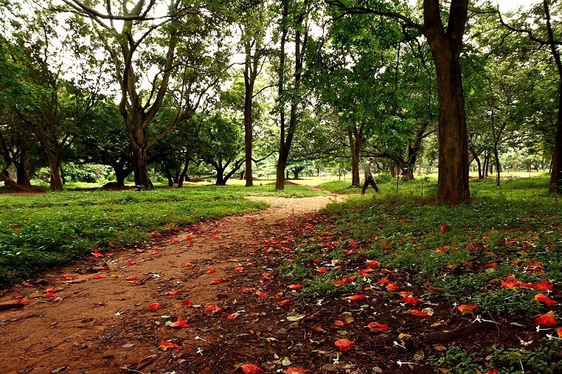 Cubbon Park