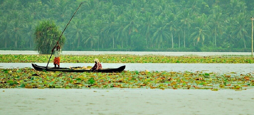 Vellayani Lake -  Freshwater Lake in Kerala 