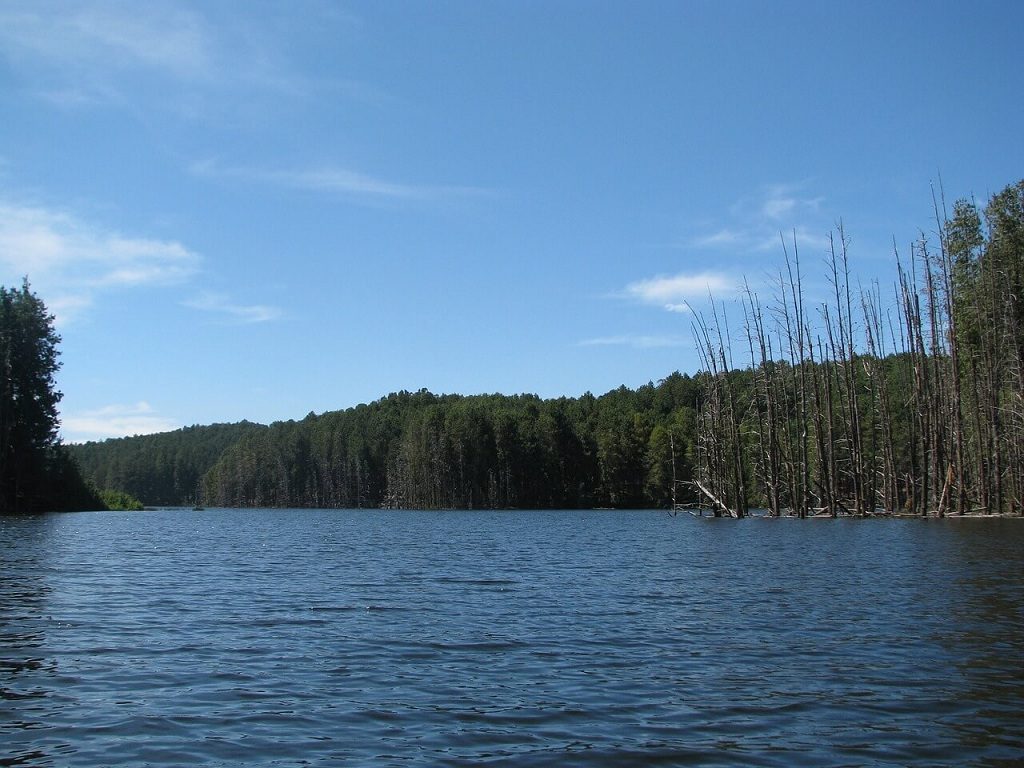 Kodaikanal Lake - Most Beautiful Lake of South India