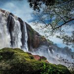 Places to visit in Kochi