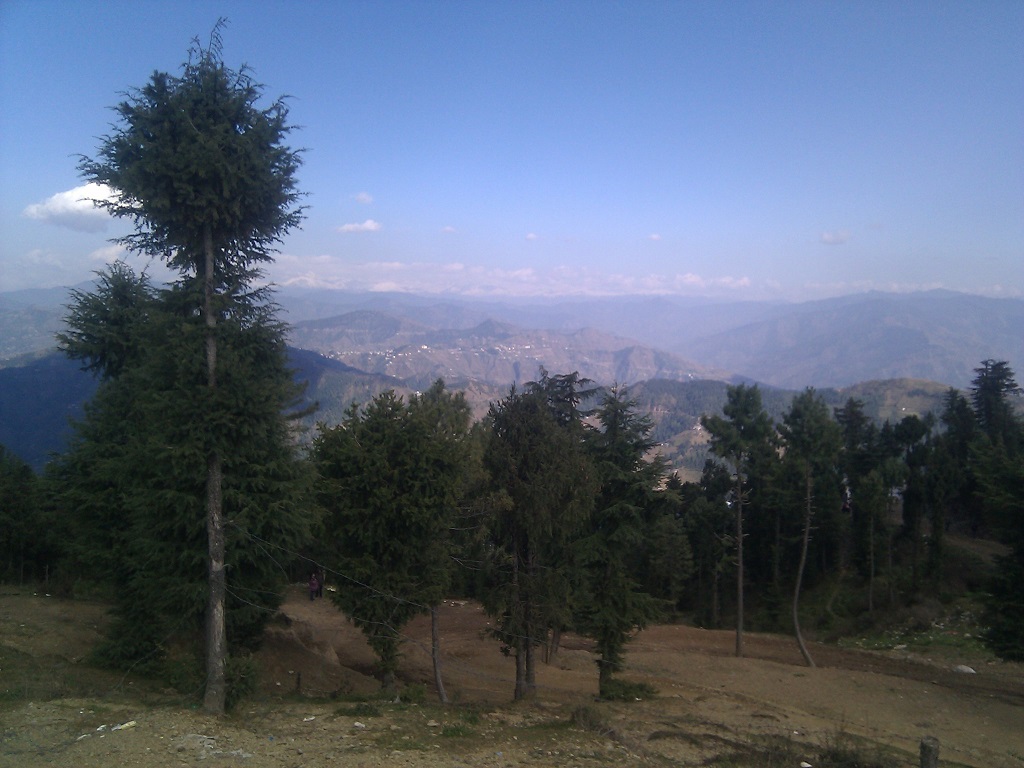 Chail - Most Beautiful Tourist Place to Visit in Shimla