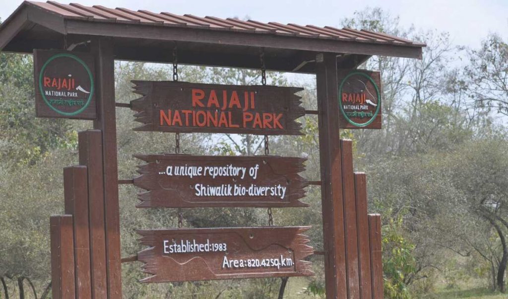 Rajaji National Park 