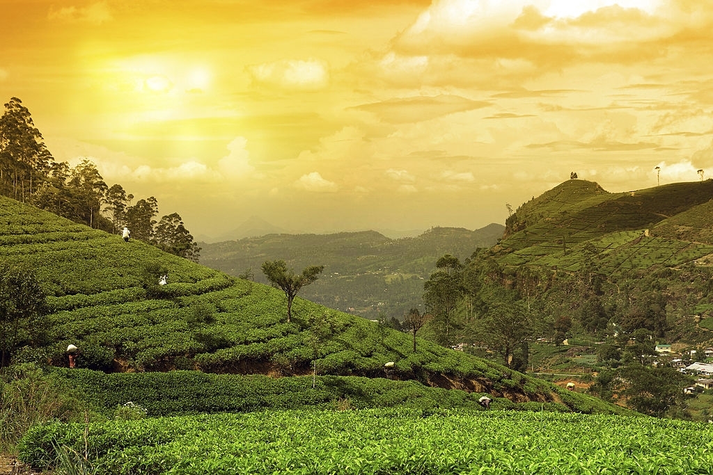 Darjeeling-sunset-among-the-most-beautiful-places-to-visit-in-guwahati