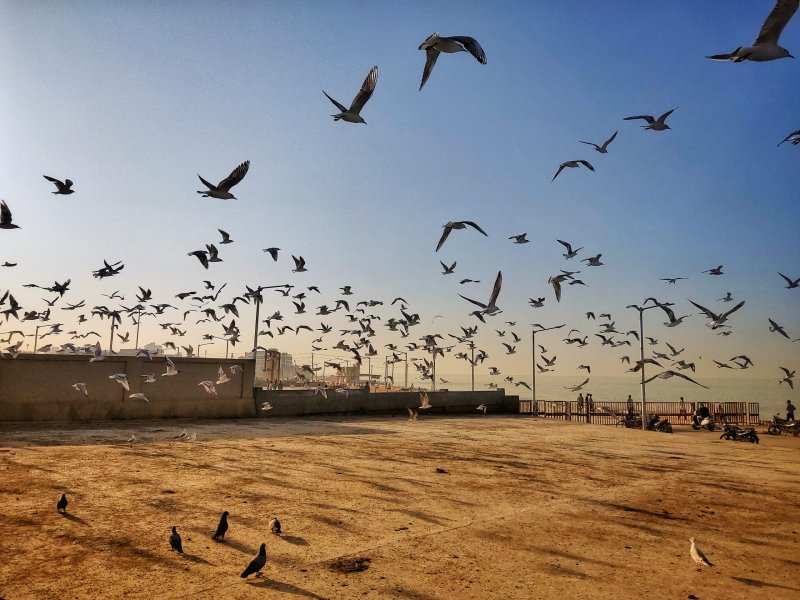 Porbandar Beach