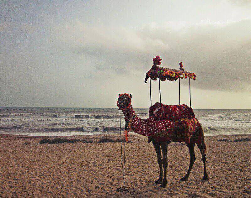 Porbandar Beach