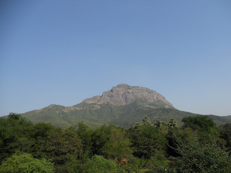 girnar parikrama