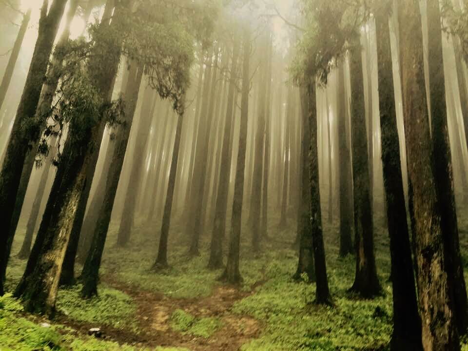 Lepchajagat in Darjeeling
