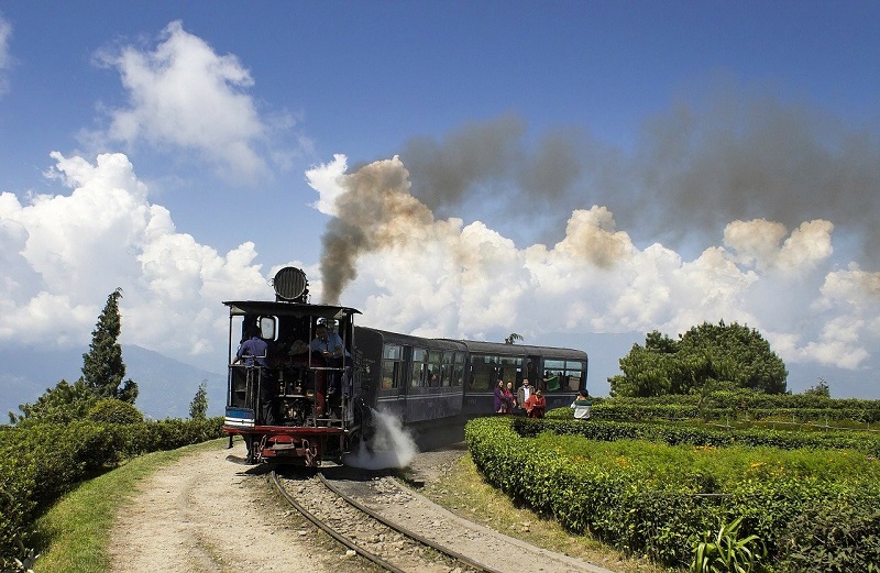 Toy Train in Darjeeling