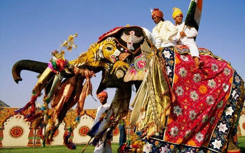 Elephant-festival-of-Jaipur