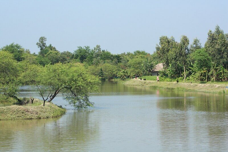 Sunderbans