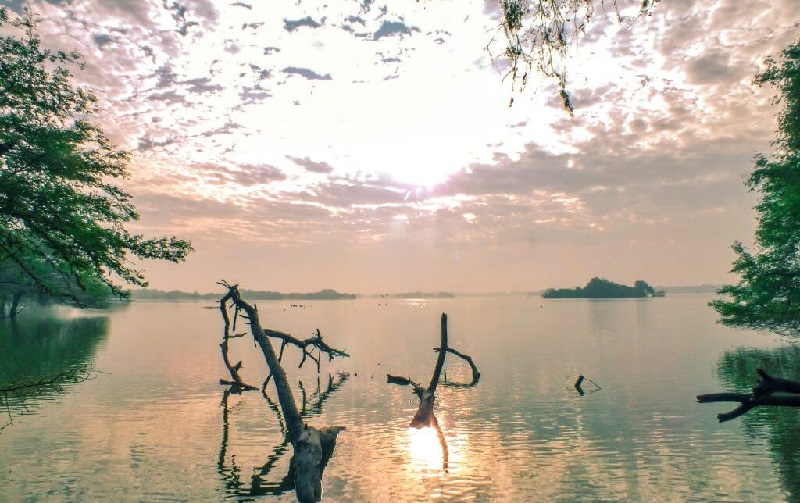 Thol Lake Bird Sanctuary in Monsoon