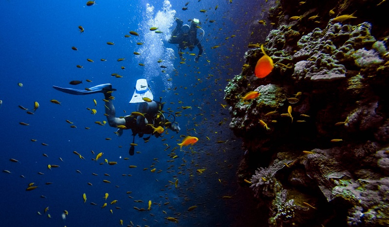 Scuba Diving in Andaman Islands