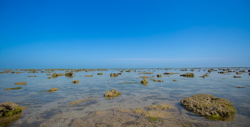 Marine National Park