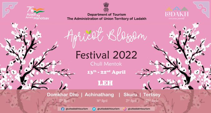Apricot Blossom Festival in 2022