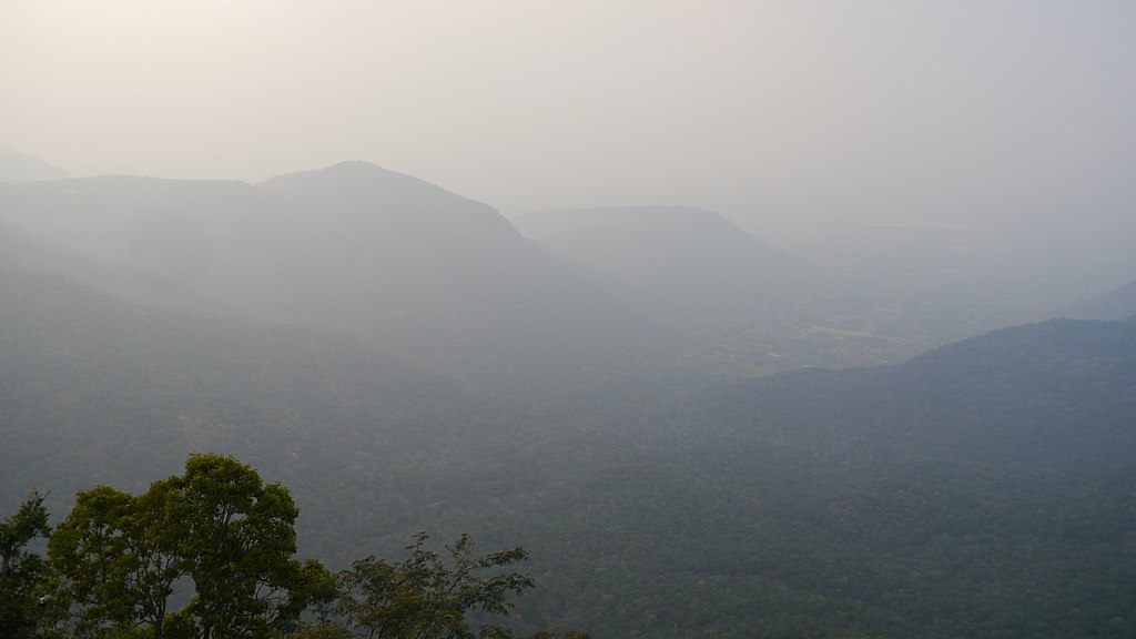 Shevaroy Hills to visit in Yercaud