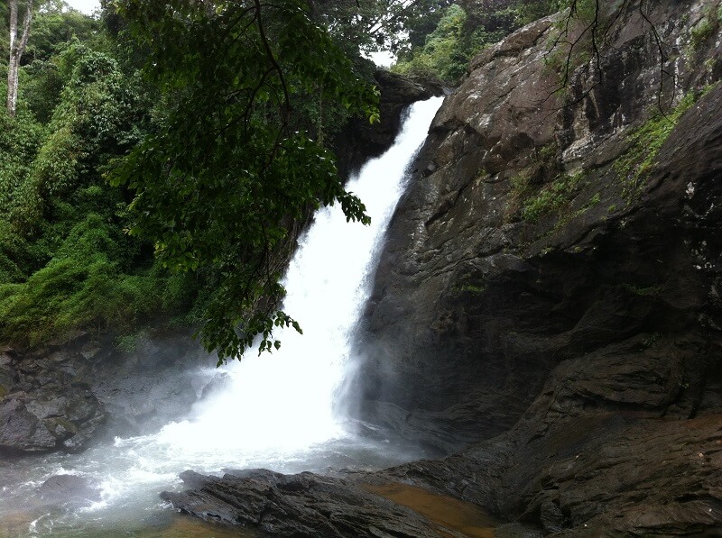 Soochipara Falls - Kerala