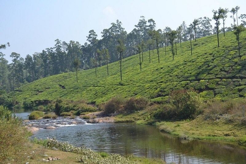 Kuzhankal River View