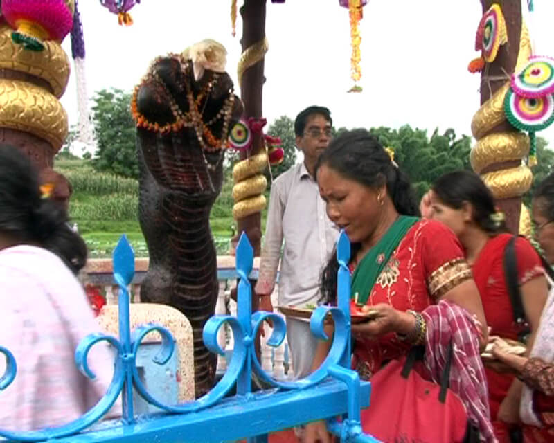 Nag Panchami - Monsoon festival in India