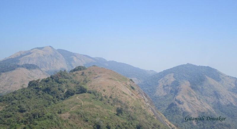  Nelliyampathy Hills