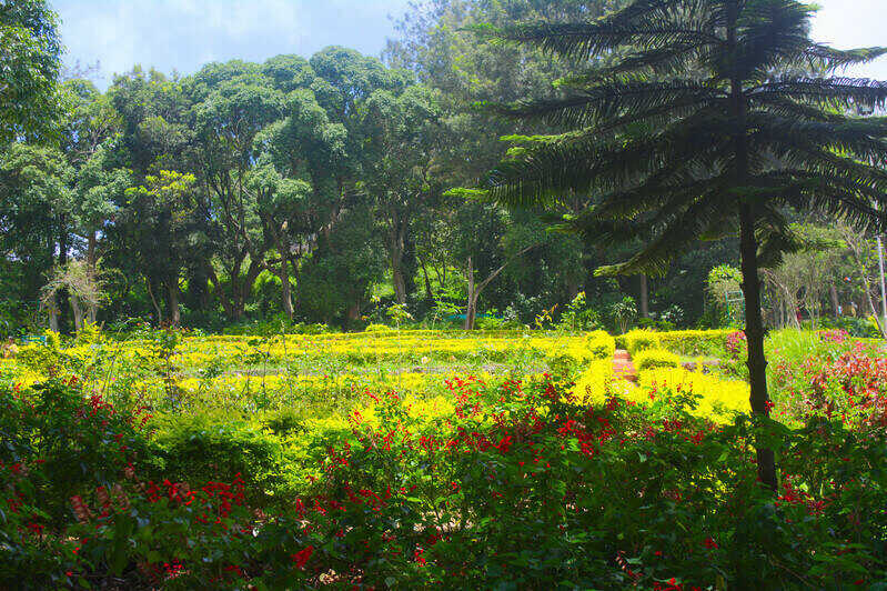 Silk Farm & Rose Garden in Yercaud