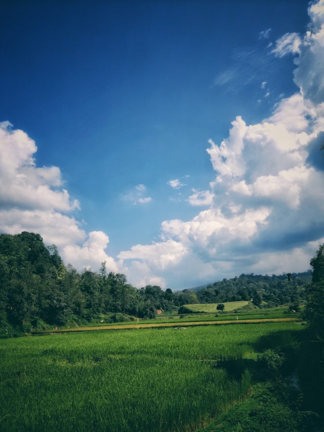 Best Places To Visit Near Coorg Within 200 Km