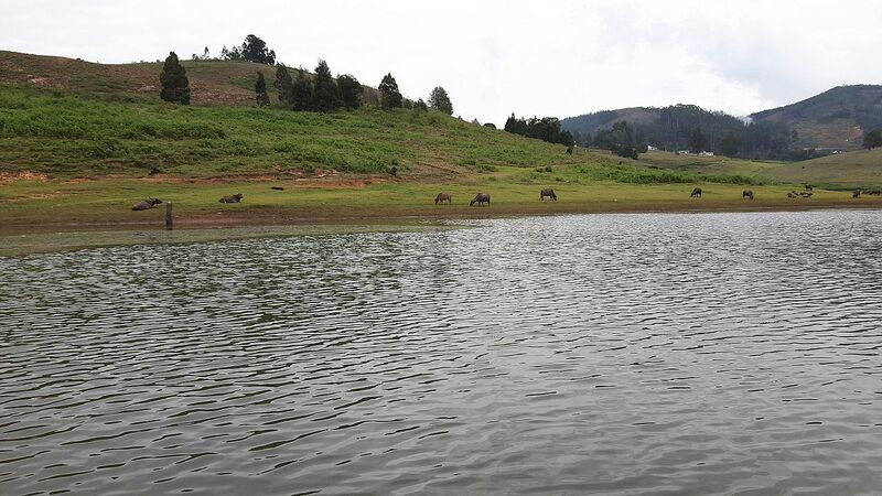 Mannavanur lake - One of the most popular lakes in Kodaikanal