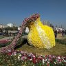 Ahmedabad Riverfront Flower Show Festival
