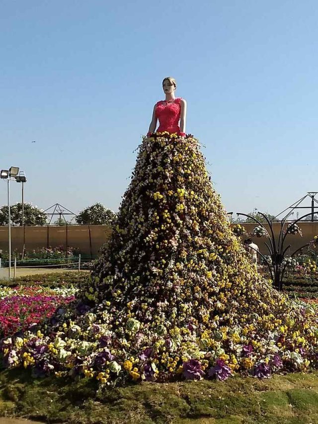 Must Visit Riverfront Flower Show Ahmedabad in 2023 Dates, Tickets