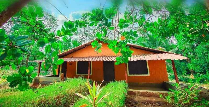 Natures Nest Goa - Best Farms in North Goa for Picnic: