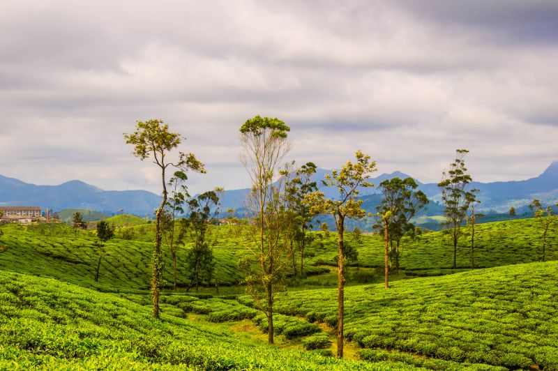 Valparai in Tamil Nadu - Most Beautiful Village in India