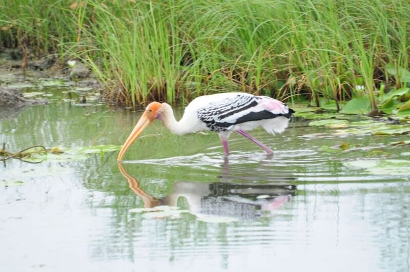 Gaga Wildlife Sanctuary