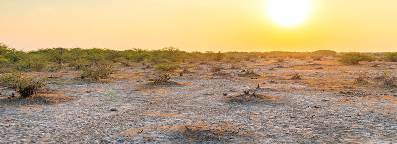 Kutch Desert Wildlife Sanctuary, Bhuj