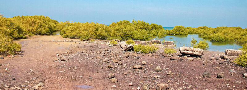 Marine National Park